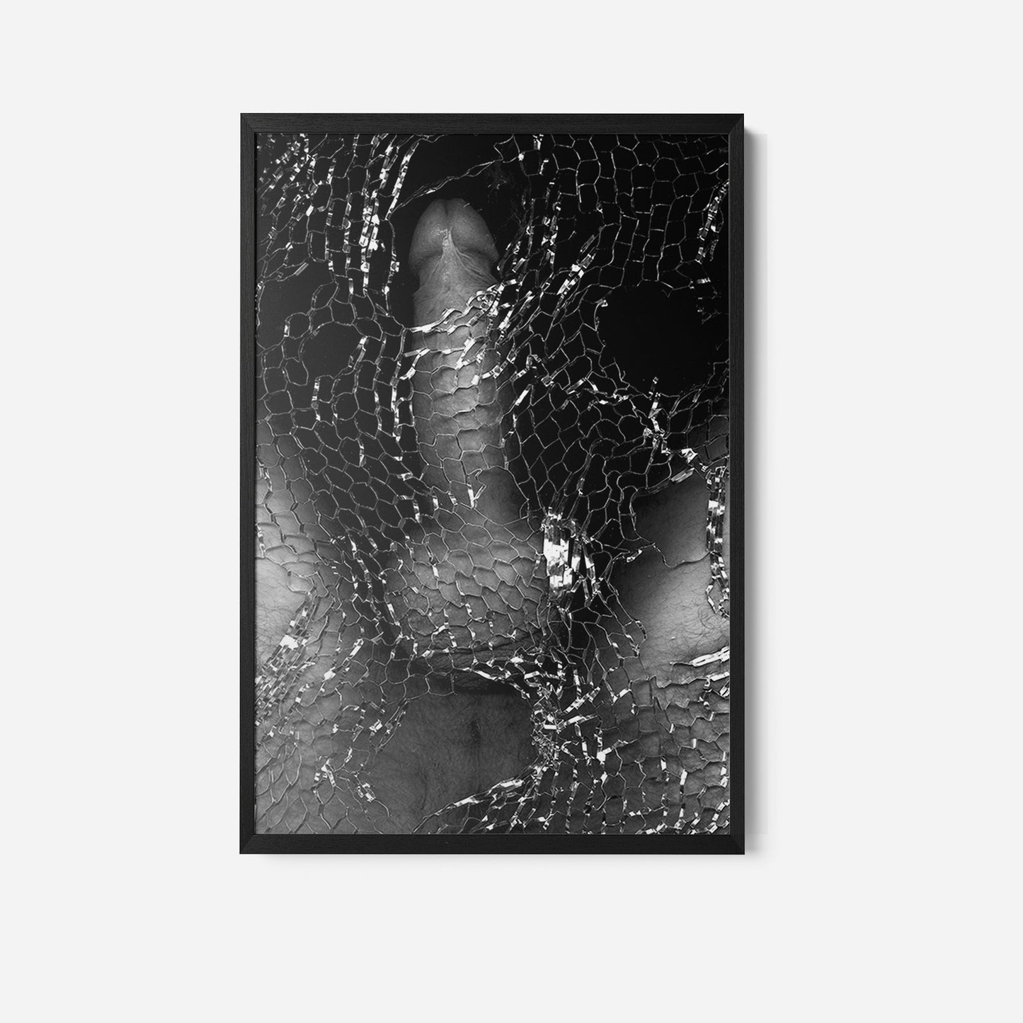 DickPic analogue erotic images of queer desire